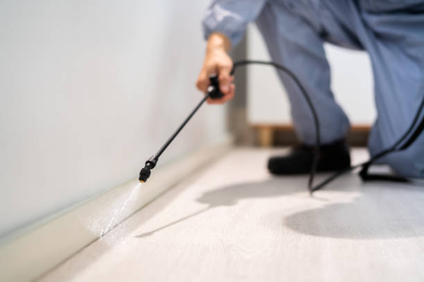 Rodent Entry Point Assessment in Ridgecrest