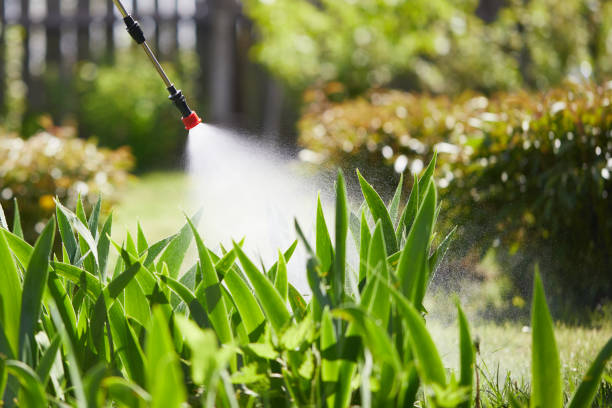 Tamper-Resistant Bait Stations for Rodents in Ridgecrest