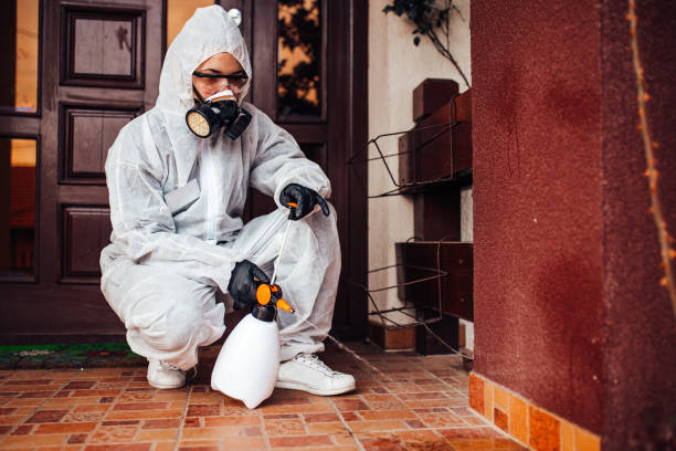 Attic and Crawl Space Rodent Treatment in Ridgecrest